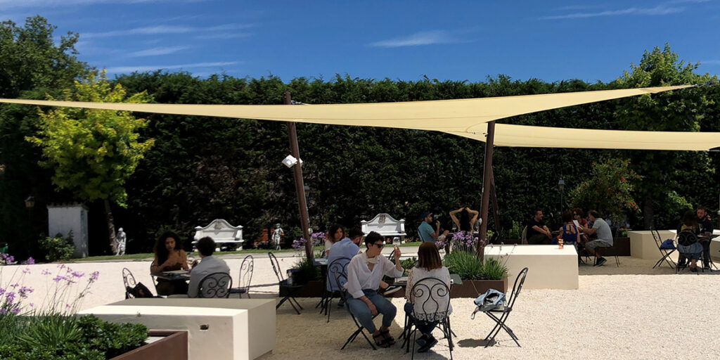 Vacanze in vigna a settembre? Tre idee tra gusto e natura