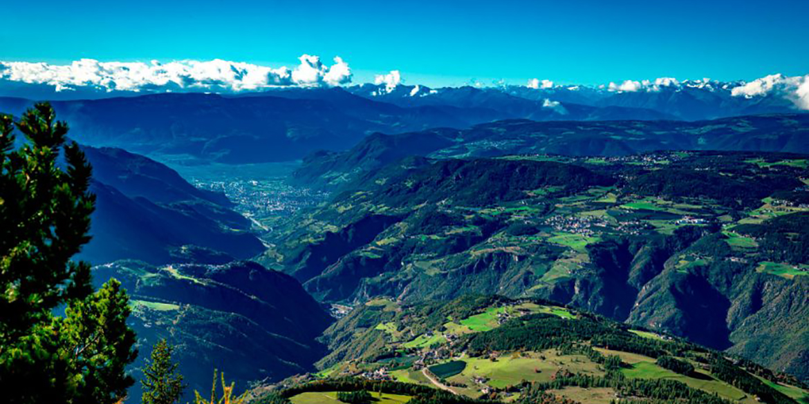 Langhe e Doc emergenti: il mondo punta gli occhi sul Piemonte