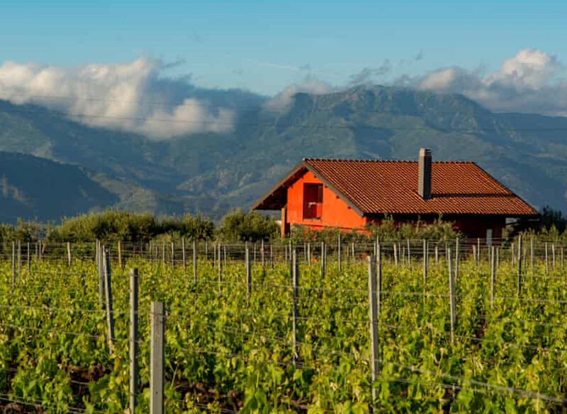 Gli inglesi scoprono la Sicilia, i francesi il Prosecco e gli americani il Negroni