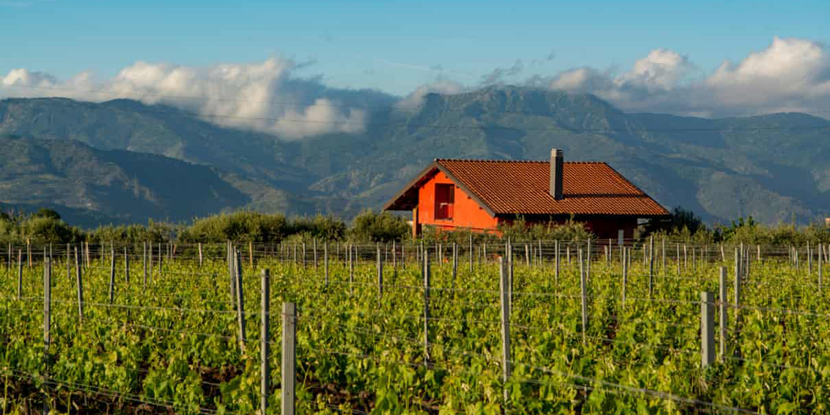 Gli inglesi scoprono la Sicilia, i francesi il Prosecco e gli americani il Negroni