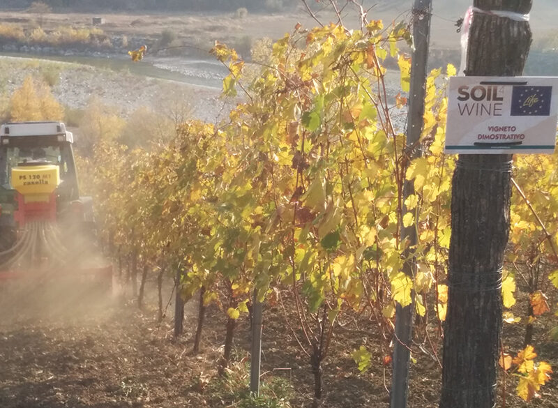 Soil4Wine: un nuovo strumento per gestire il suolo del vigneto
