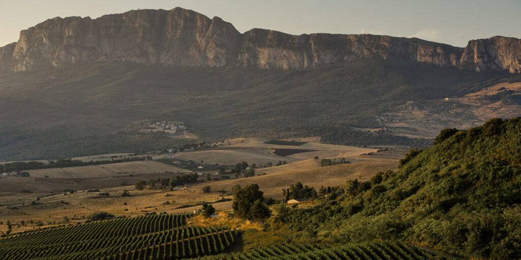 Gli altri spumanti: Sicilia