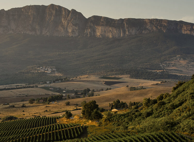 Gli altri spumanti: Sicilia