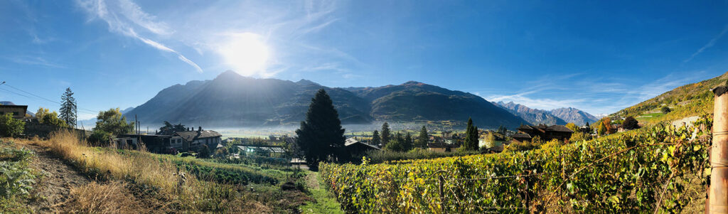 Gli interpreti del vino naturale in Valle d’Aosta