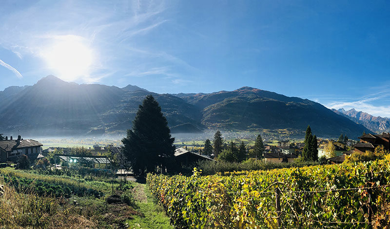 Gli interpreti del vino naturale in Valle d’Aosta