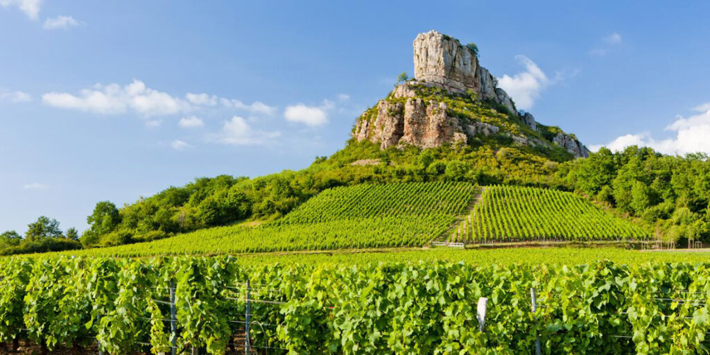Borgogna: 22 Premier Cru per Pouilly-Fuissé Aoc