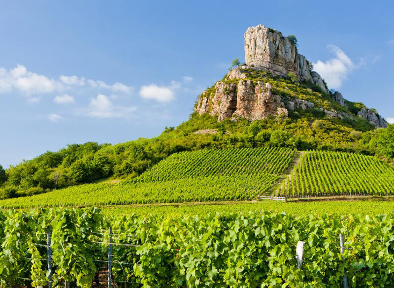 Borgogna: 22 Premier Cru per Pouilly-Fuissé Aoc