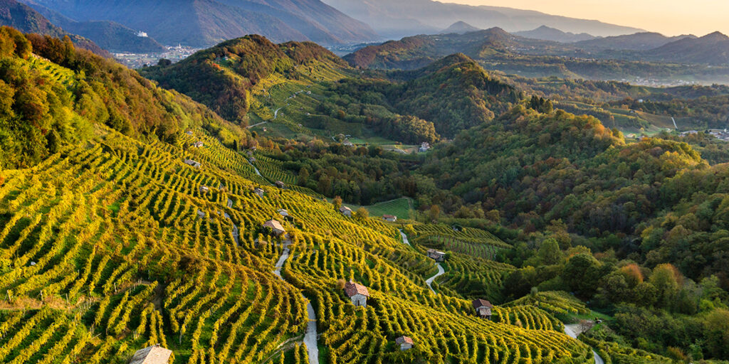 Rive, Extra Brut e Sui Lieviti: le novità del Prosecco Docg