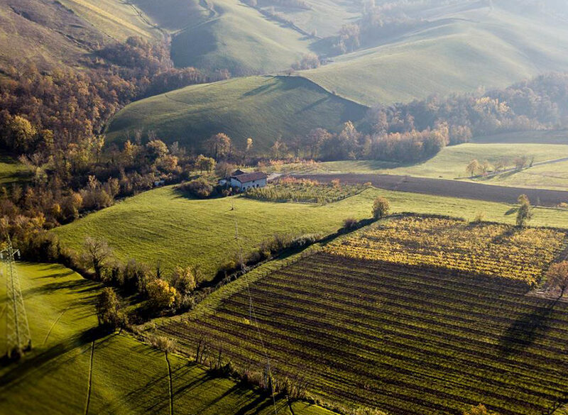 Gli interpreti del vino naturale in Emilia Romagna