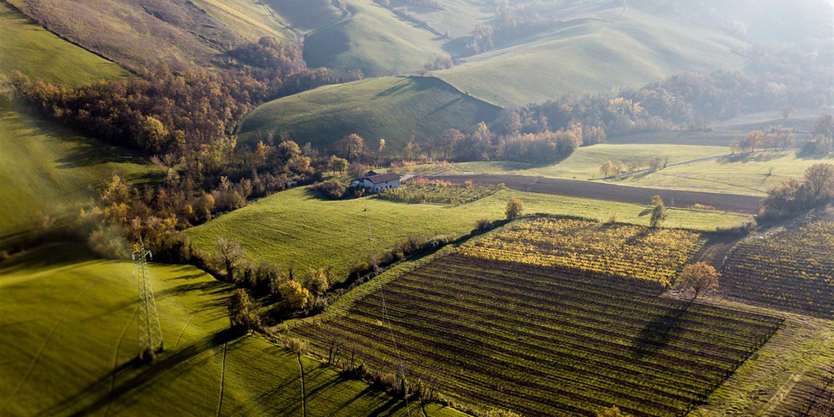 Gli interpreti del vino naturale in Emilia Romagna