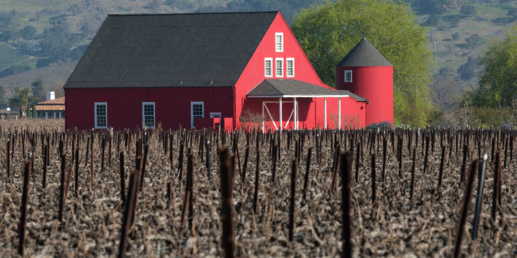 Il nostro Sud salverà la California