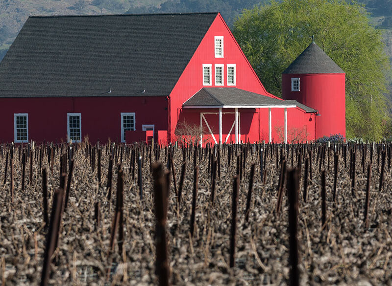 Il nostro Sud salverà la California