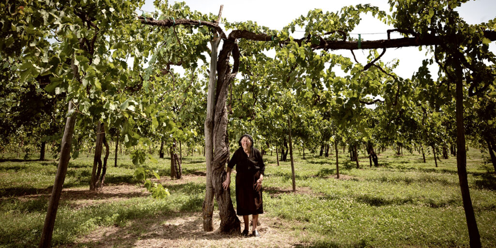 Feudi di San Gregorio ricerca i tesori nascosti dell’Irpinia