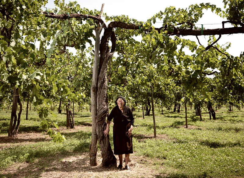 Feudi di San Gregorio ricerca i tesori nascosti dell’Irpinia