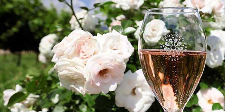 Prosecco Rosé e vendemmia 2020 fanno parlare dell’Italia nel mondo