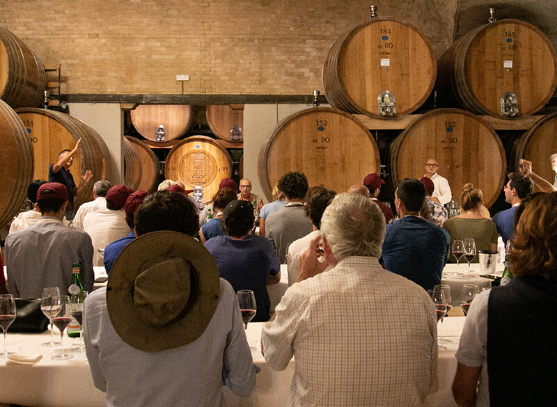 Così Sanguis Jovis vede il Sangiovese oltre Covid