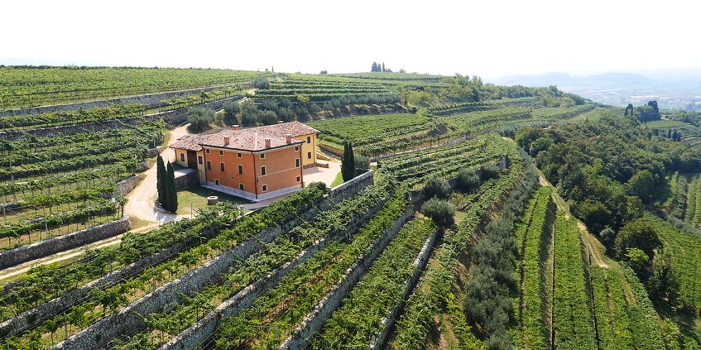 Speri: tradizione e sostenibilità, due facce della stessa Cantina