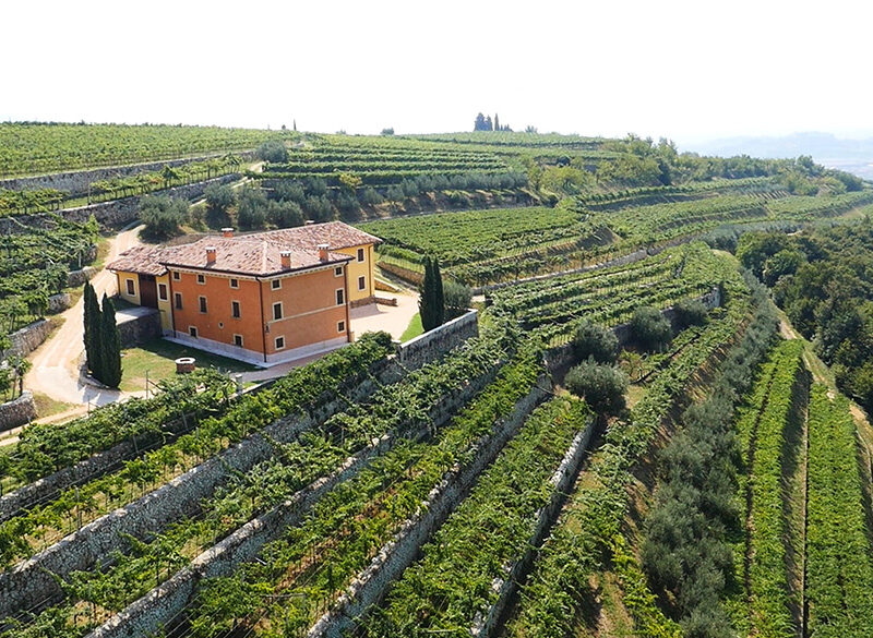 Speri: tradizione e sostenibilità, due facce della stessa Cantina
