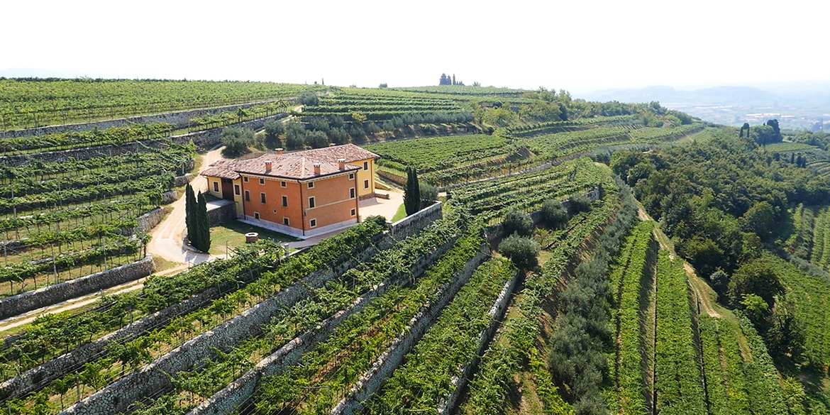 Speri: tradizione e sostenibilità, due facce della stessa Cantina