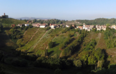 Gli interpreti del vino naturale in Lombardia