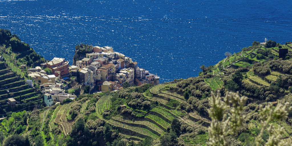 Gli interpreti del vino naturale in Liguria