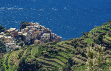 Gli interpreti del vino naturale in Liguria