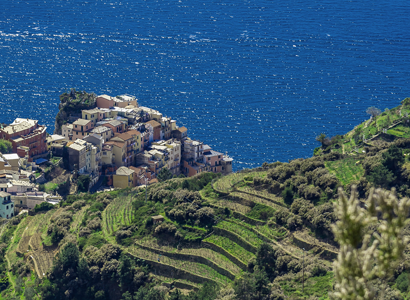 Gli interpreti del vino naturale in Liguria