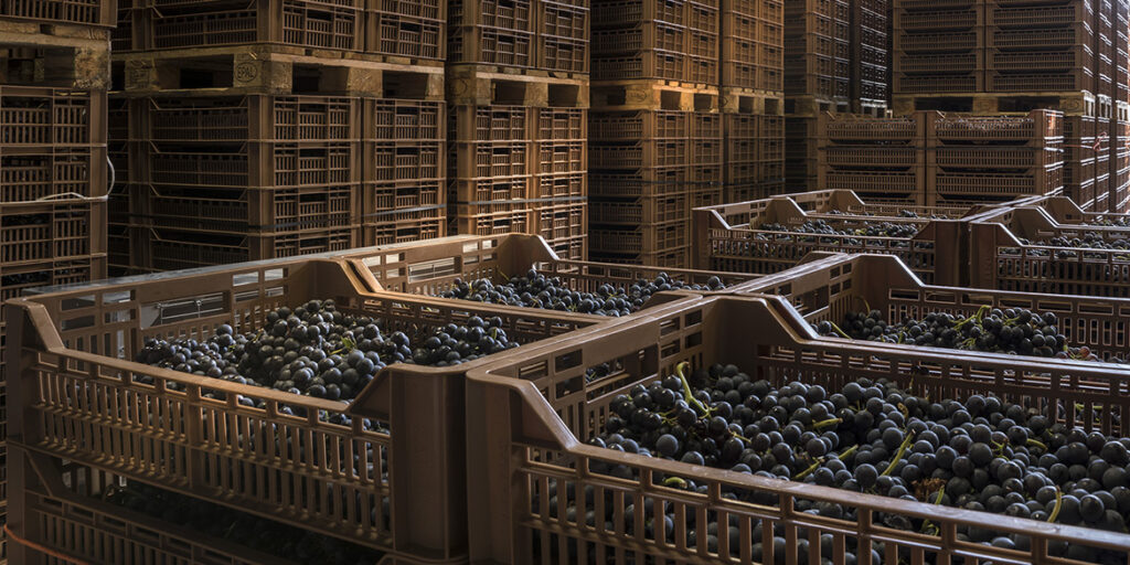 Santi, la Valpolicella e l’arte del blending