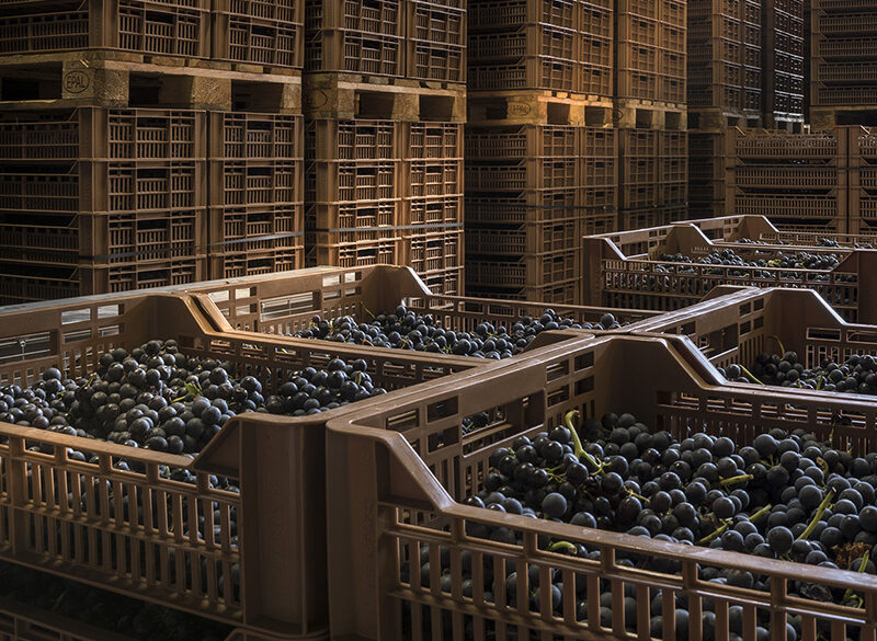Santi, la Valpolicella e l’arte del blending