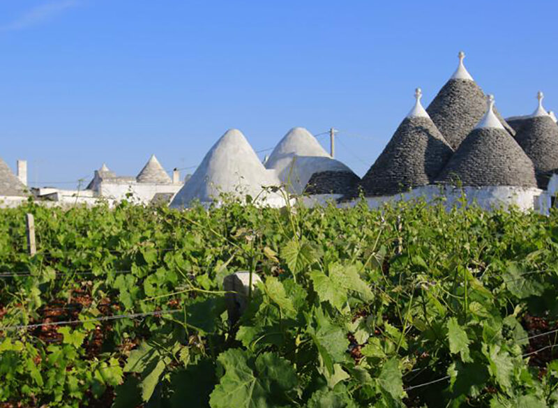 Puglia, orgoglio italiano su Forbes