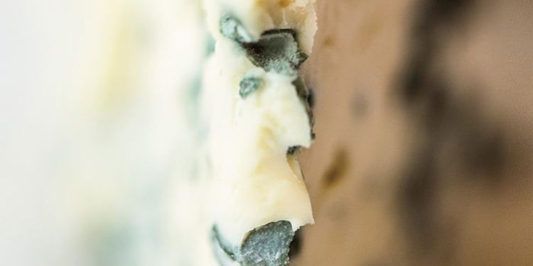 Vino e formaggio, cioccolato o un buon libro? Consigli d’abbinamento