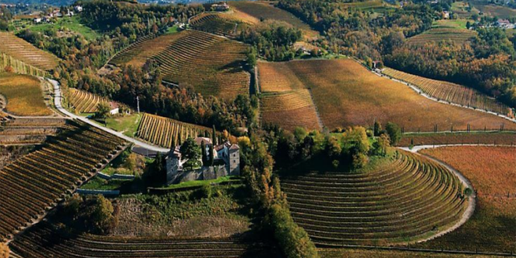 Il valore della Malvasia nelle pagine di un libro