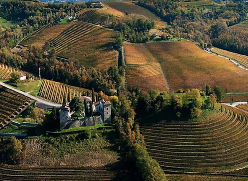 Il valore della Malvasia nelle pagine di un libro