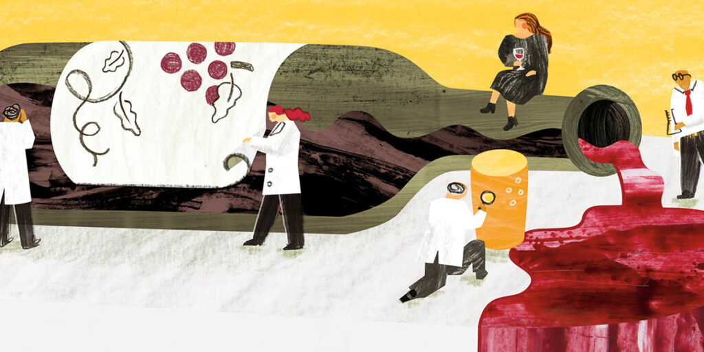Impronte molecolari per prevenire le contraffazioni del vino