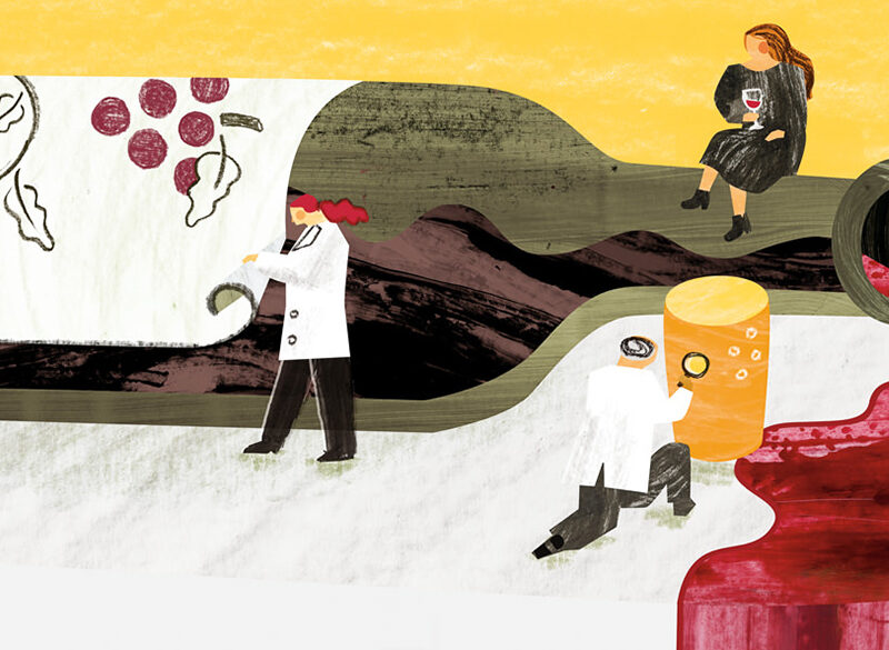 Impronte molecolari per prevenire le contraffazioni del vino