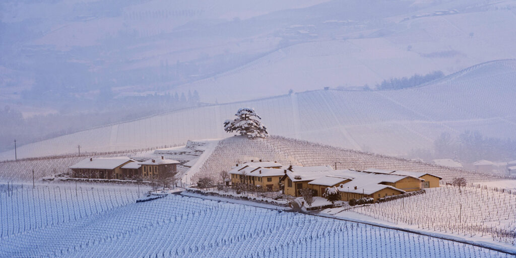 Gli interpreti del vino naturale nelle Langhe e nel Roero