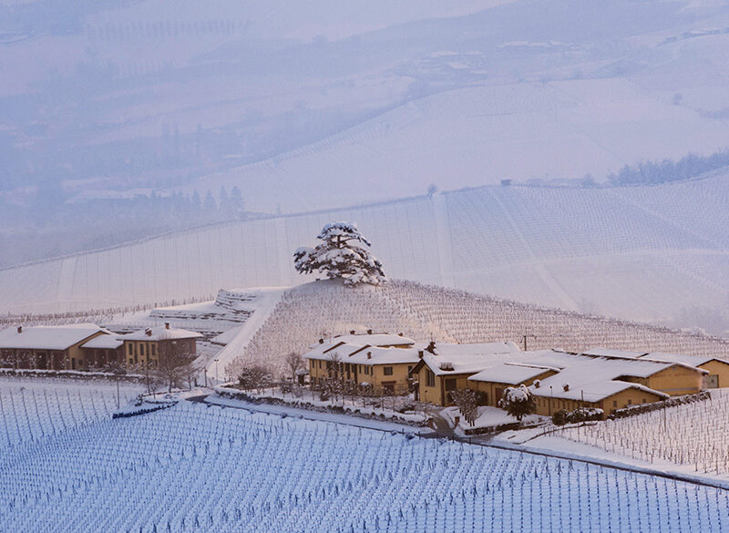 Gli interpreti del vino naturale nelle Langhe e nel Roero