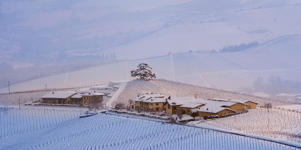 Gli interpreti del vino naturale nelle Langhe e nel Roero