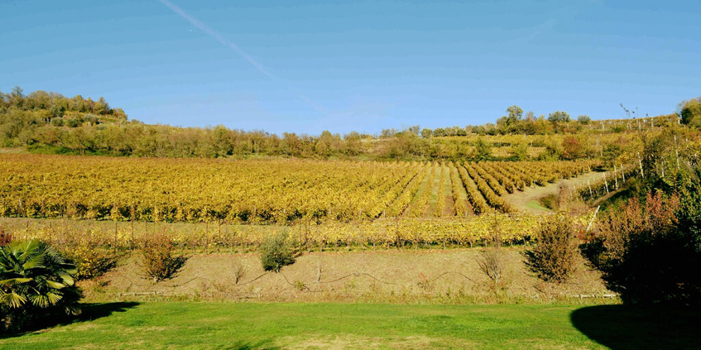 Gli altri spumanti. Il Veneto oltre il Prosecco