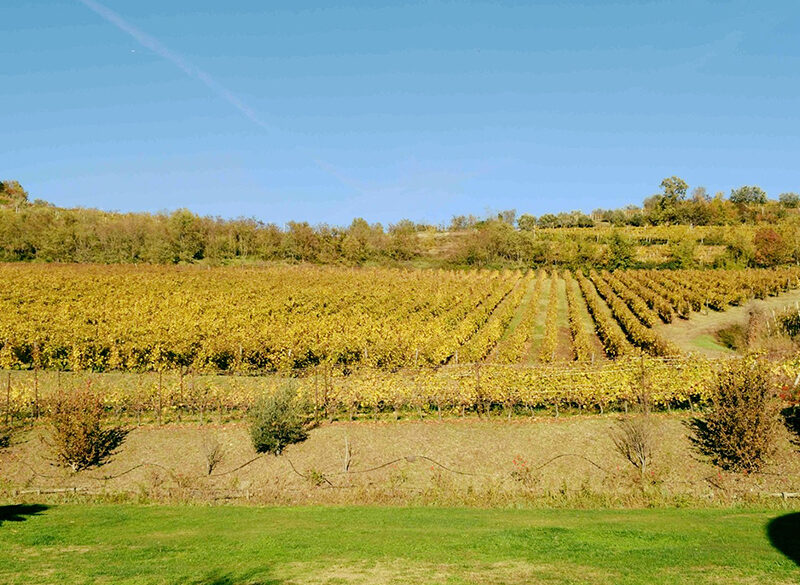 Gli altri spumanti. Il Veneto oltre il Prosecco