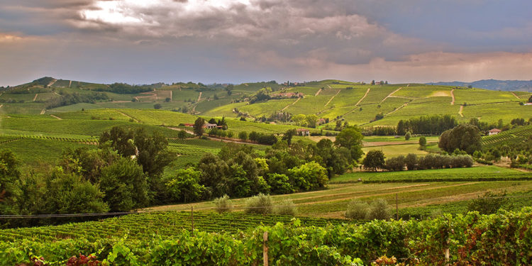 Gli interpreti del vino naturale nel Monferrato