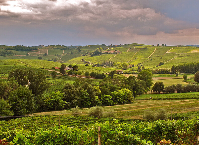 Gli interpreti del vino naturale nel Monferrato