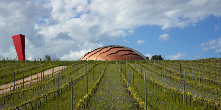 Architetture del vino:  Tenuta Castelbuono di Lunelli