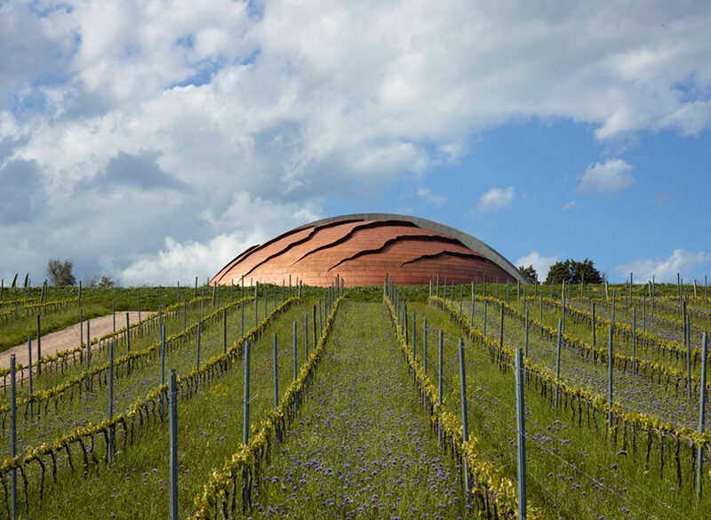 Architetture del vino:  Tenuta Castelbuono di Lunelli