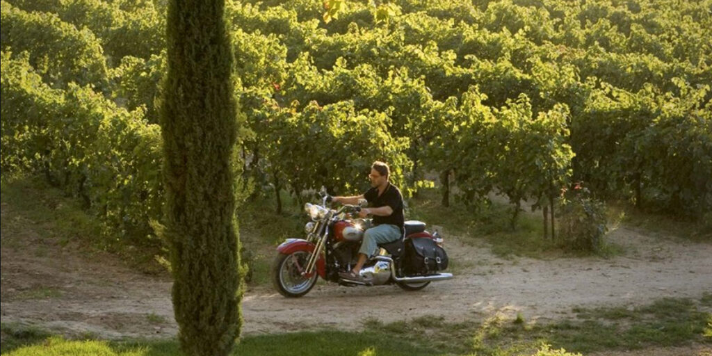 Bacco va al cinema