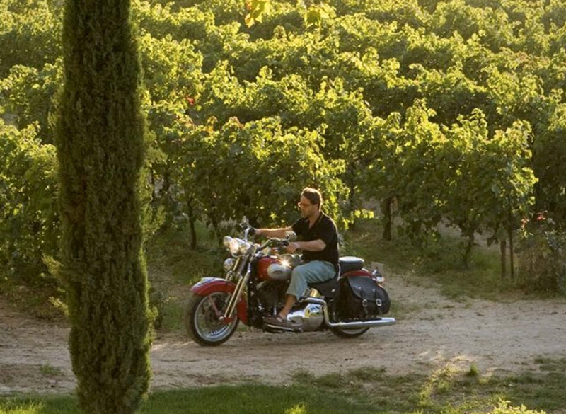 Bacco va al cinema