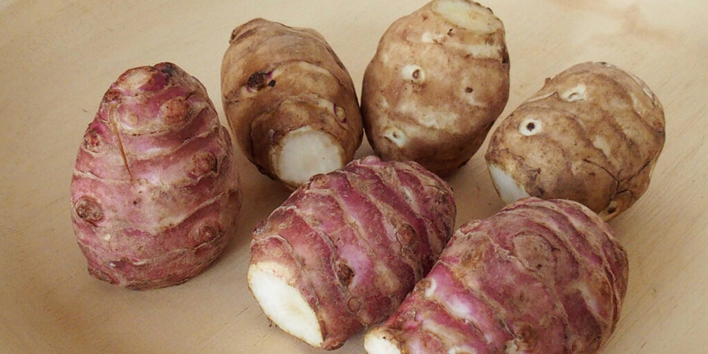 Topinambur, l’eleganza del tubero