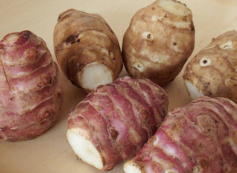 Topinambur, l’eleganza del tubero