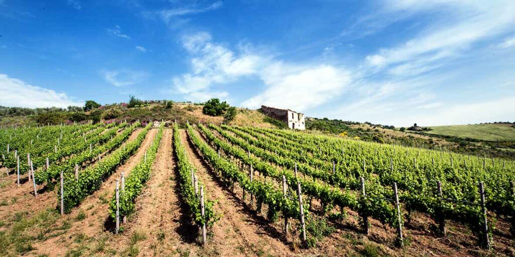 Gli altri spumanti. La seconda vita delle bollicine in Basilicata