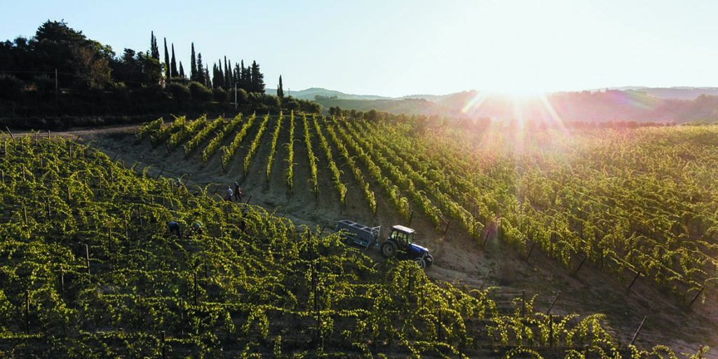 Villa Rosa, per Cecchi è un ritorno alle origini
